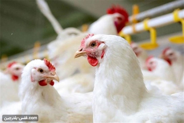 تصویر رویداد