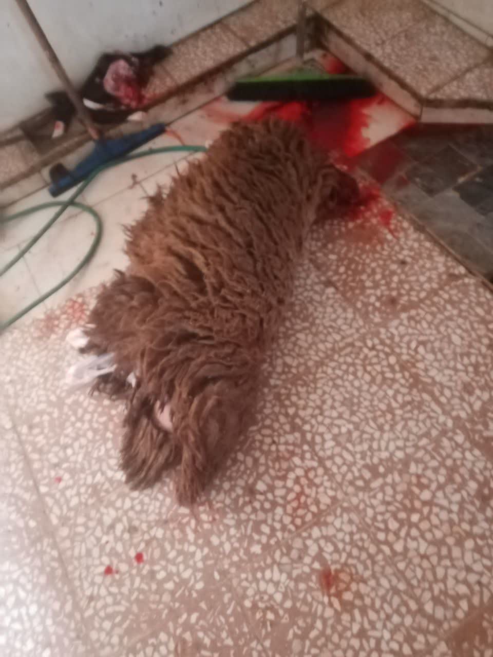 Omita.ir