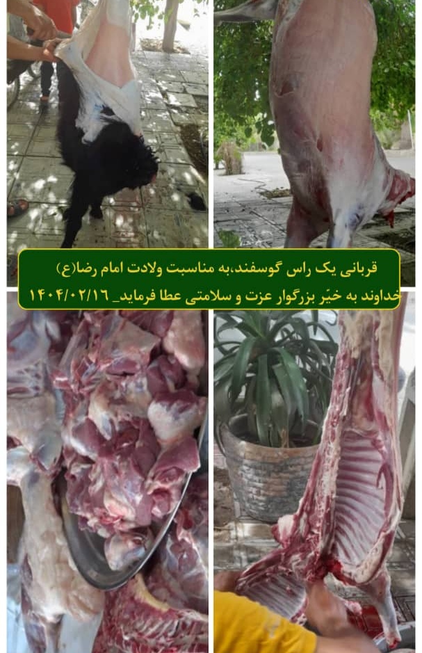 report